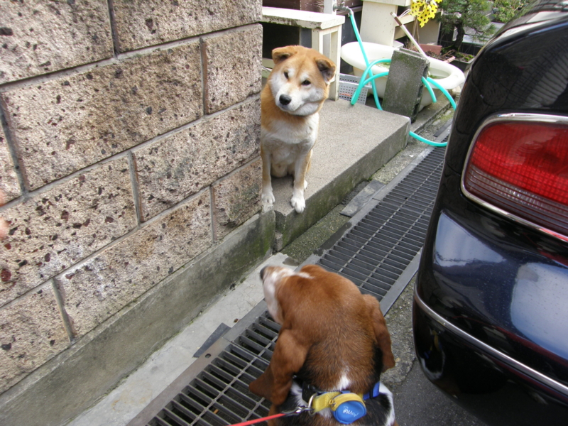f:id:k10no3:20091227153537j:image:w640 f:id:k10no3:20091227153537j:image:w640