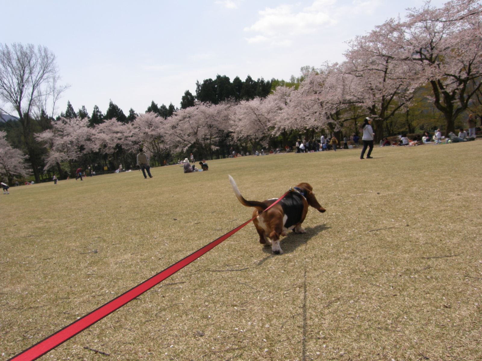 f:id:k10no3:20100418115115j:image:w640 f:id:k10no3:20100418115115j:image:w640