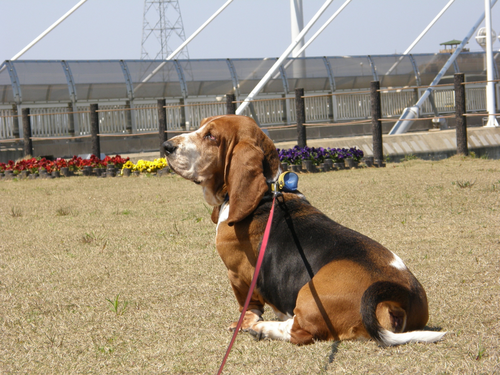 f:id:k10no3:20100425132838j:image:w640