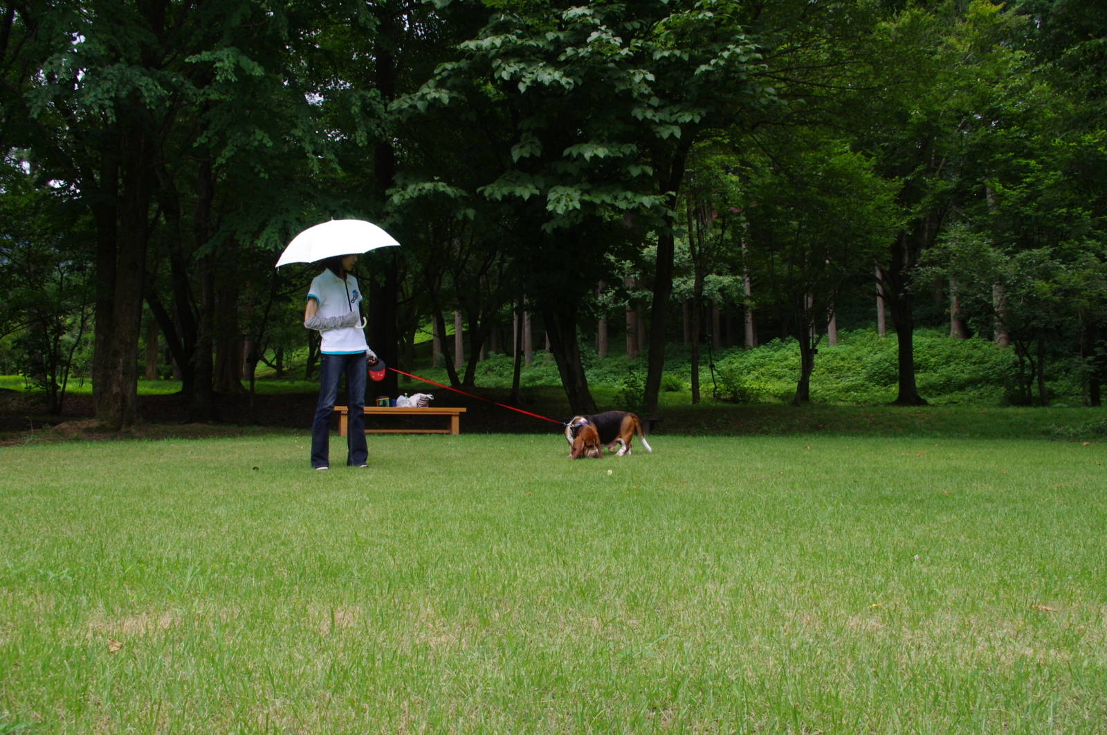 f:id:k10no3:20100801114341j:image:w640