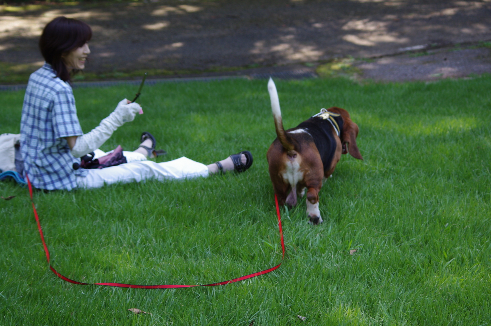 f:id:k10no3:20100905131745j:image:w640