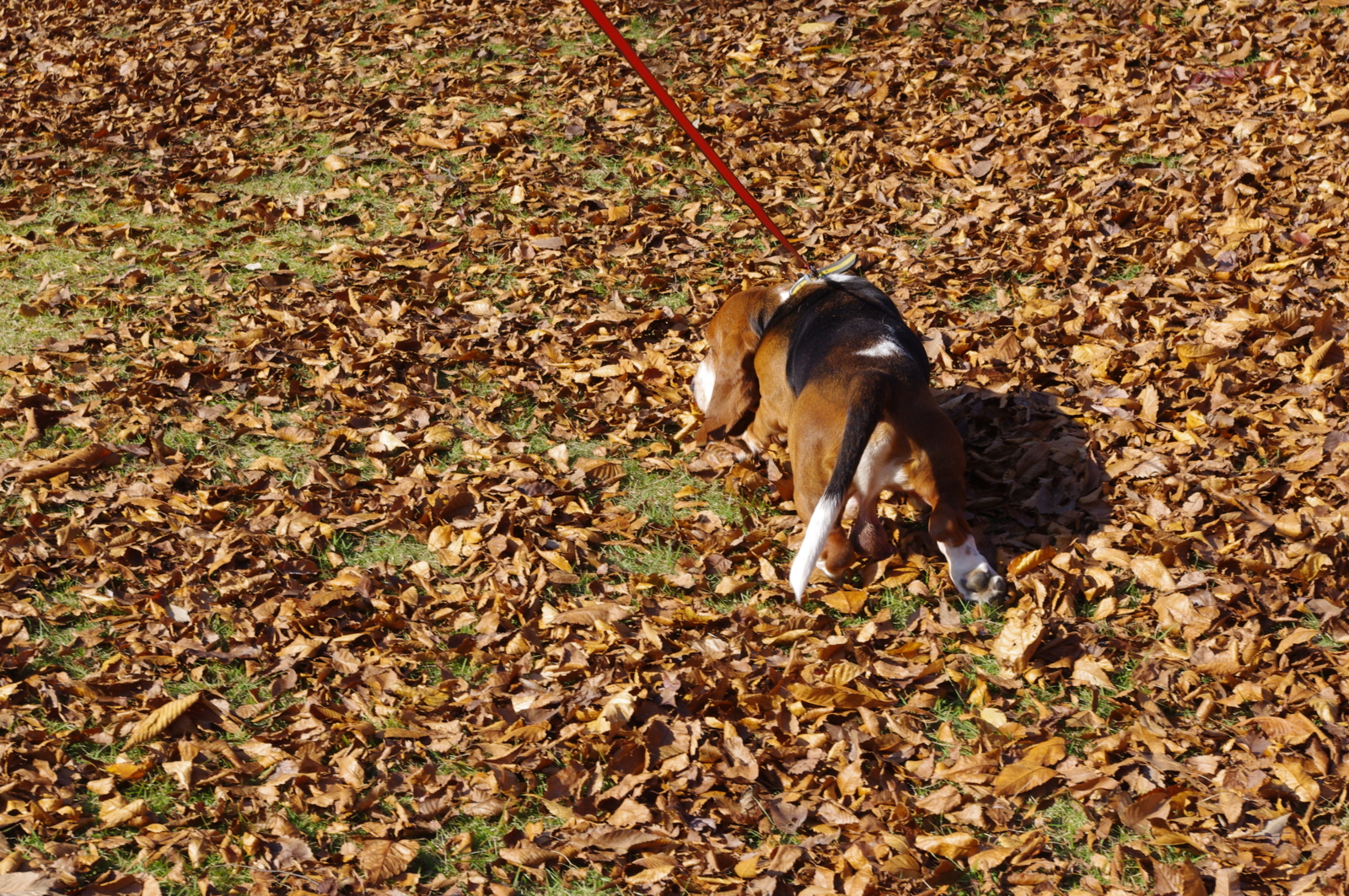 f:id:k10no3:20101120121615j:image:w640