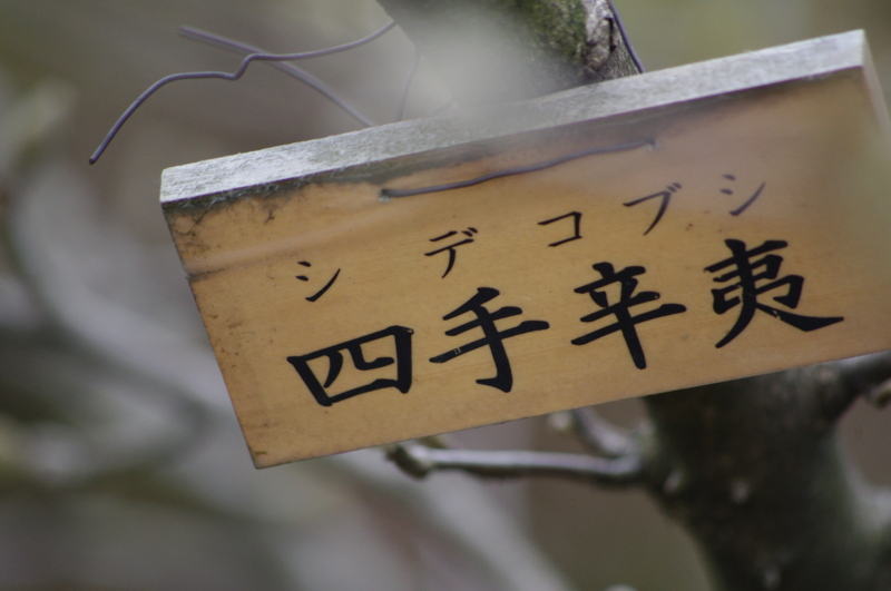 f:id:k10no3:20110402103826j:image:w420 f:id:k10no3:20110402103826j:image:w420