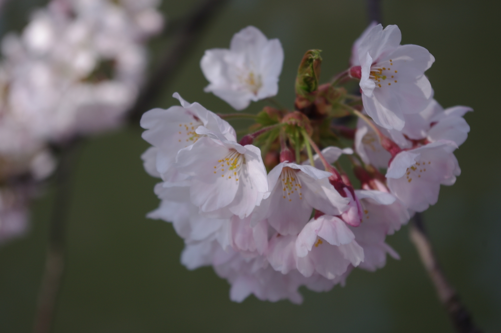 f:id:k10no3:20110430083750j:plain