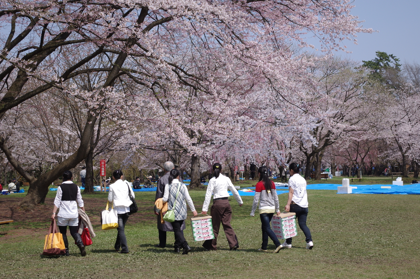 f:id:k10no3:20110430101351j:plain