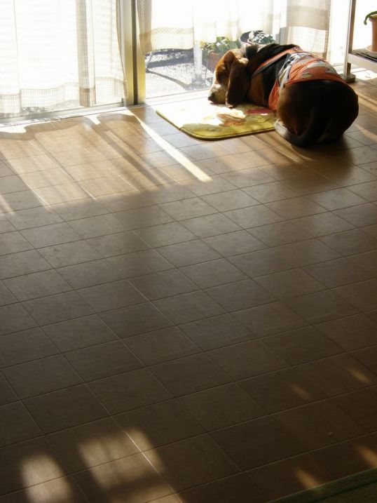f:id:k10no3:20110925200544j:image:w318:left f:id:k10no3:20110925200544j:image:w318:left