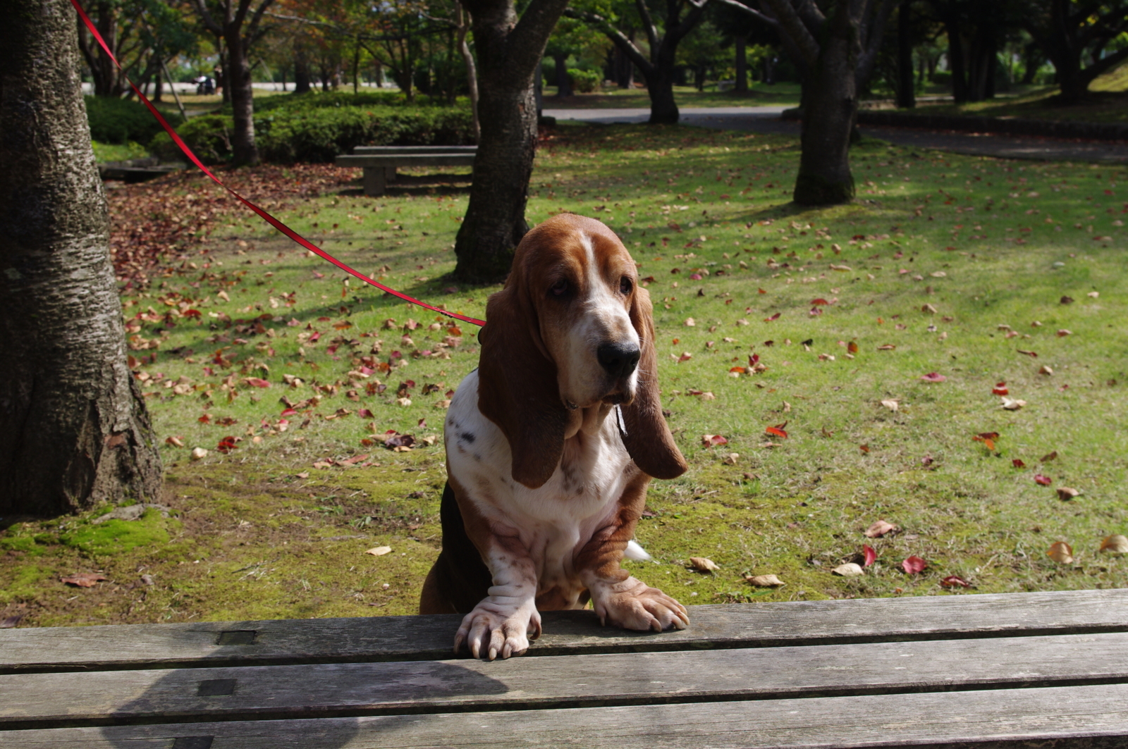 f:id:k10no3:20111016121153j:image:w640