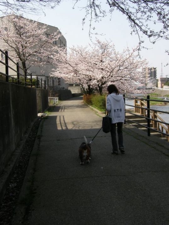f:id:k10no3:20111204192622j:image:w318:left f:id:k10no3:20111204192622j:image:w318:left