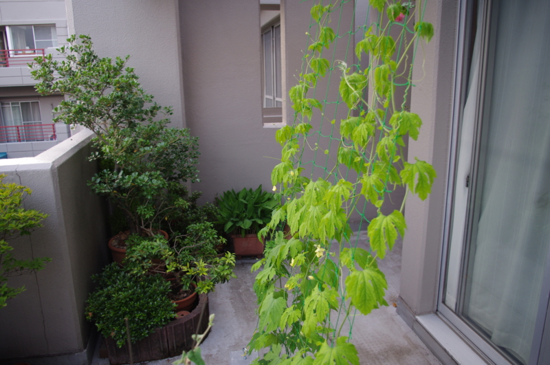 f:id:k10no3:20120627183004j:image:w300