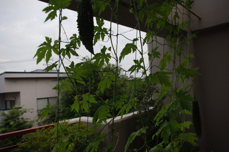 f:id:k10no3:20120720182951j:image:w520 f:id:k10no3:20120720182951j:image:w520