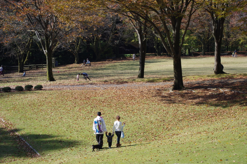 f:id:k10no3:20121104113932j:image:w520 f:id:k10no3:20121104113932j:image:w520