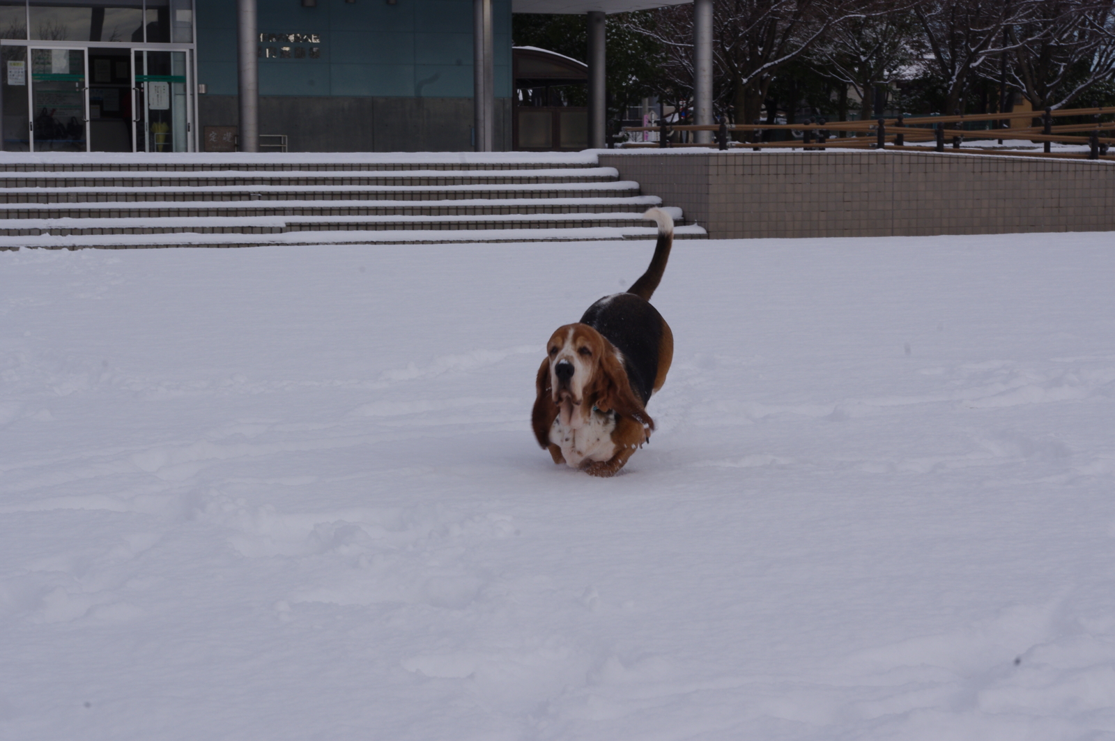 f:id:k10no3:20130105104438j:image:w640