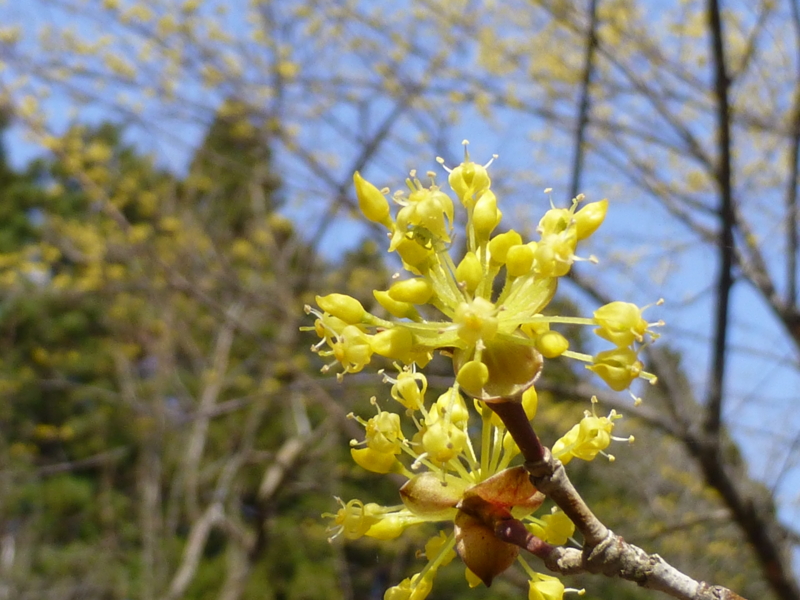 f:id:k10no3:20130324125754j:image:w520 f:id:k10no3:20130324125754j:image:w520