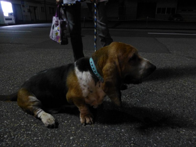 f:id:k10no3:20130727202552j:image:w560 f:id:k10no3:20130727202552j:image:w560