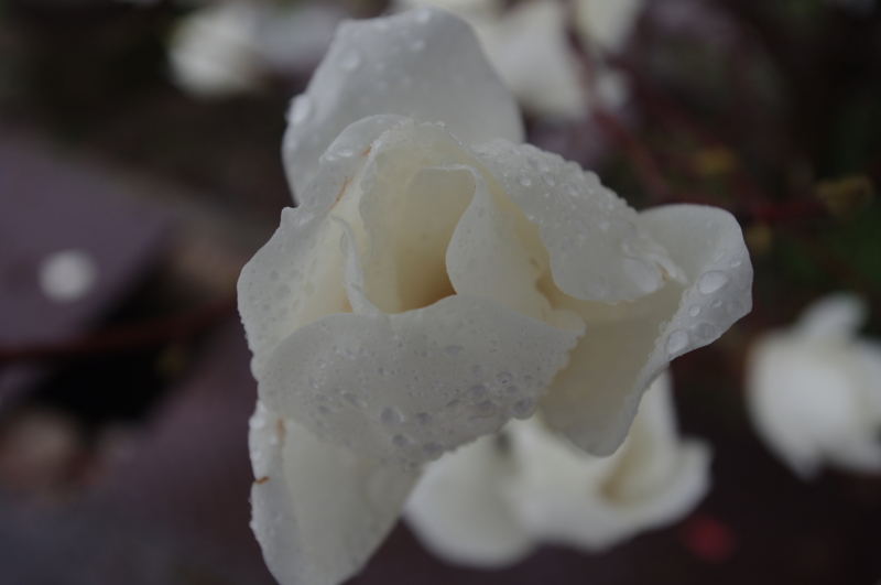 f:id:k10no3:20140330125433j:image:w560 f:id:k10no3:20140330125433j:image:w560