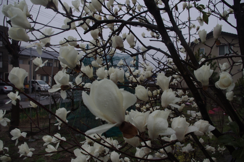 f:id:k10no3:20140330125437j:image:w560 f:id:k10no3:20140330125437j:image:w560