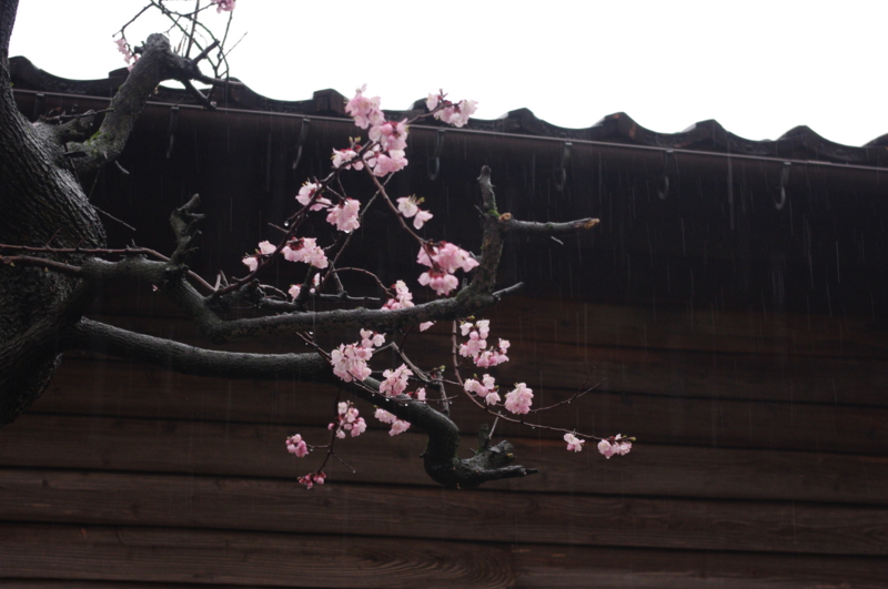 f:id:k10no3:20140330154645j:image:w560