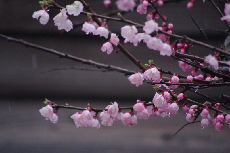 f:id:k10no3:20140330154835j:image:w560