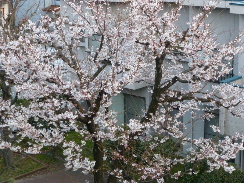 f:id:k10no3:20140402181118j:image:w560
