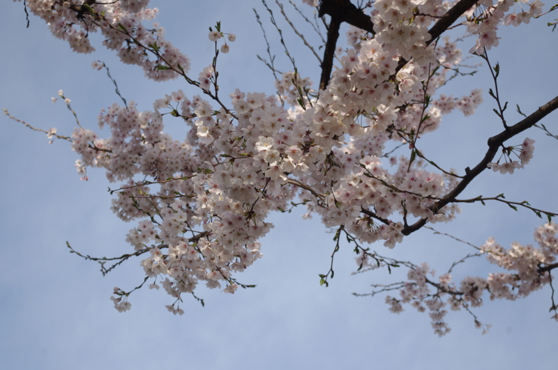 f:id:k10no3:20140405074135j:image:w560 f:id:k10no3:20140405074135j:image:w560
