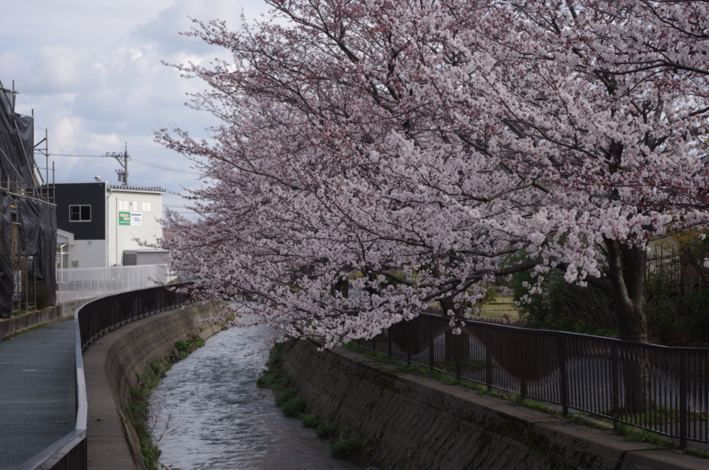 f:id:k10no3:20140405081913j:image:w560 f:id:k10no3:20140405081913j:image:w560