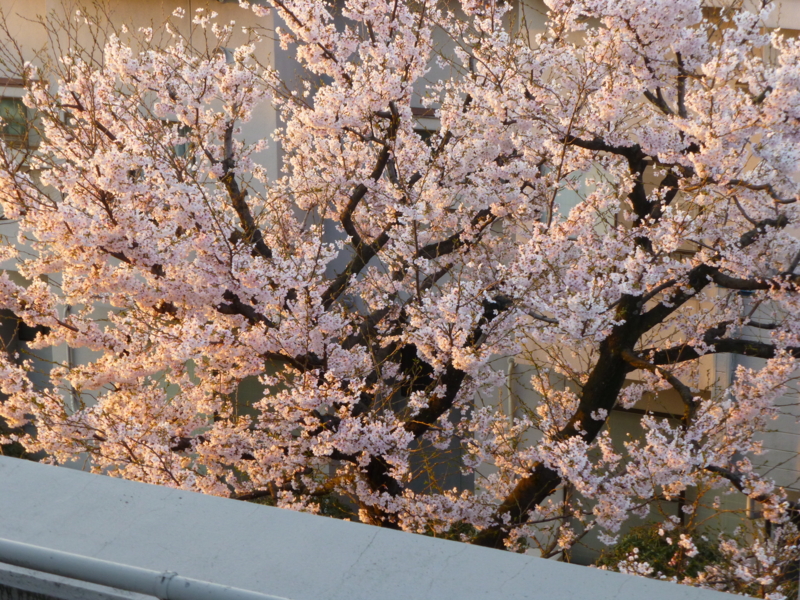 f:id:k10no3:20140406060240j:image:w560