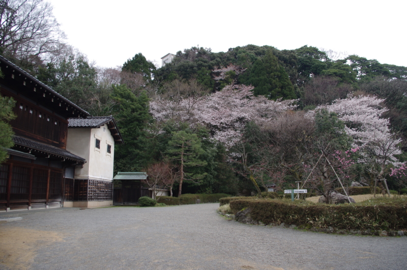 f:id:k10no3:20140406081412j:image:w560 f:id:k10no3:20140406081412j:image:w560