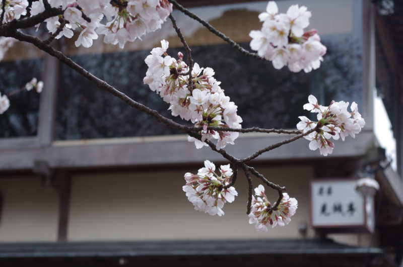 f:id:k10no3:20140406085610j:image:w560