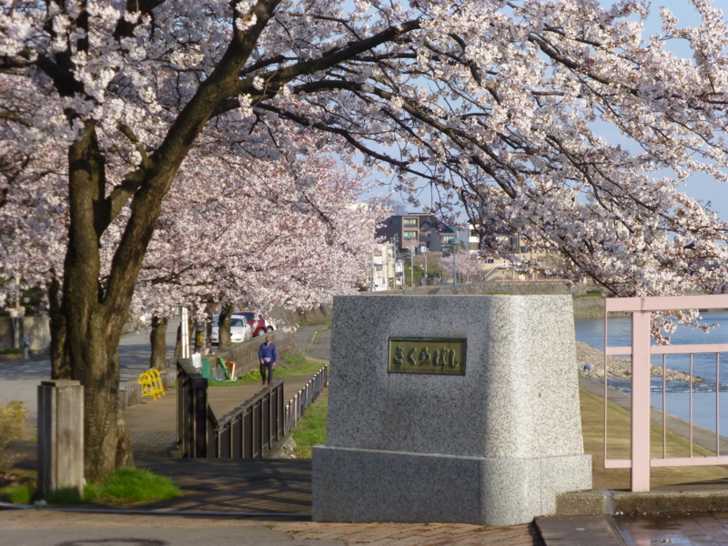 f:id:k10no3:20140407071909j:image:w560 f:id:k10no3:20140407071909j:image:w560