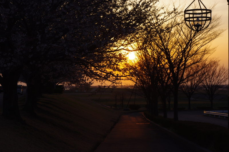 f:id:k10no3:20140407181308j:image:w560