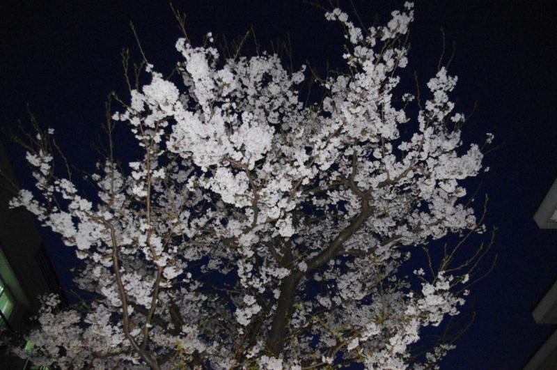 f:id:k10no3:20140407190701j:image:w560