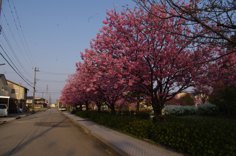 f:id:k10no3:20140408070114j:image:w560 f:id:k10no3:20140408070114j:image:w560