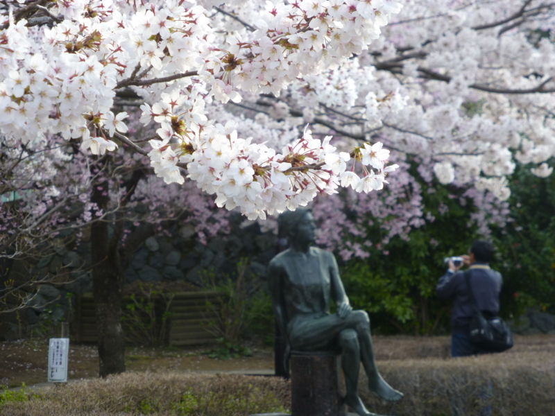 f:id:k10no3:20140408070604j:image:w560 f:id:k10no3:20140408070604j:image:w560