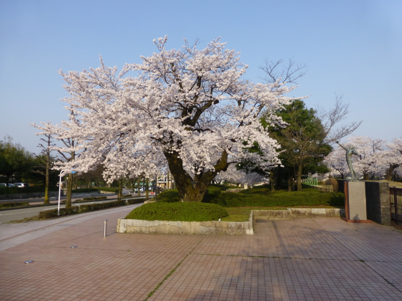 f:id:k10no3:20140408071713j:image:w560 f:id:k10no3:20140408071713j:image:w560