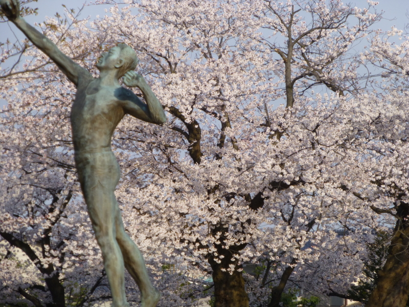 f:id:k10no3:20140408071726j:image:w560