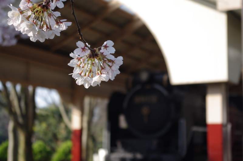 f:id:k10no3:20140409075207j:image:w560