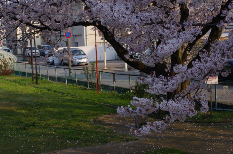 f:id:k10no3:20140410071530j:image:w560 f:id:k10no3:20140410071530j:image:w560