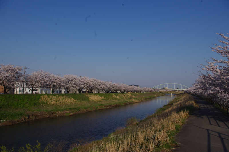 f:id:k10no3:20140411072143j:image:w560 f:id:k10no3:20140411072143j:image:w560