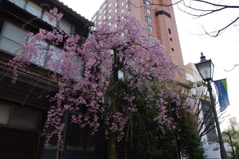 f:id:k10no3:20140412082401j:image:w560 f:id:k10no3:20140412082401j:image:w560