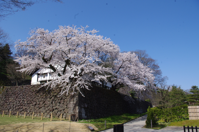 f:id:k10no3:20140412092108j:image:w560 f:id:k10no3:20140412092108j:image:w560