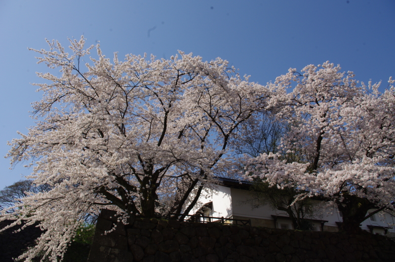 f:id:k10no3:20140412093238j:image:w560 f:id:k10no3:20140412093238j:image:w560