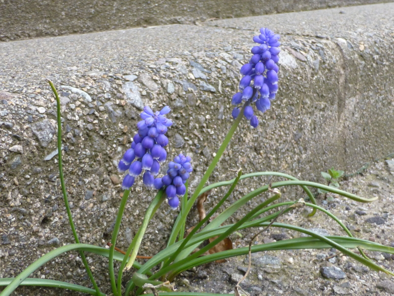 f:id:k10no3:20140413085940j:image:w560 f:id:k10no3:20140413085940j:image:w560