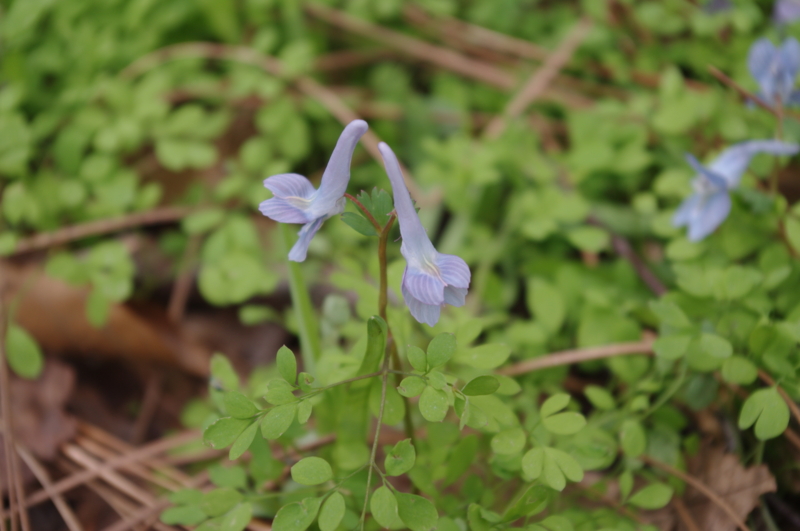 f:id:k10no3:20140413104216j:image:w560 f:id:k10no3:20140413104216j:image:w560