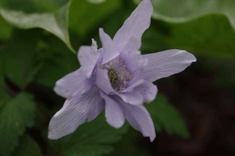 f:id:k10no3:20140413104945j:image:w560 f:id:k10no3:20140413104945j:image:w560