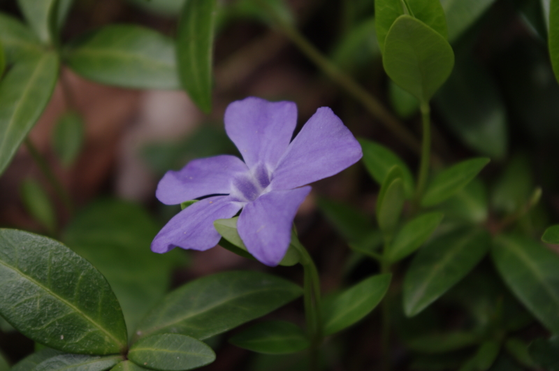 f:id:k10no3:20140413105136j:image:w560 f:id:k10no3:20140413105136j:image:w560