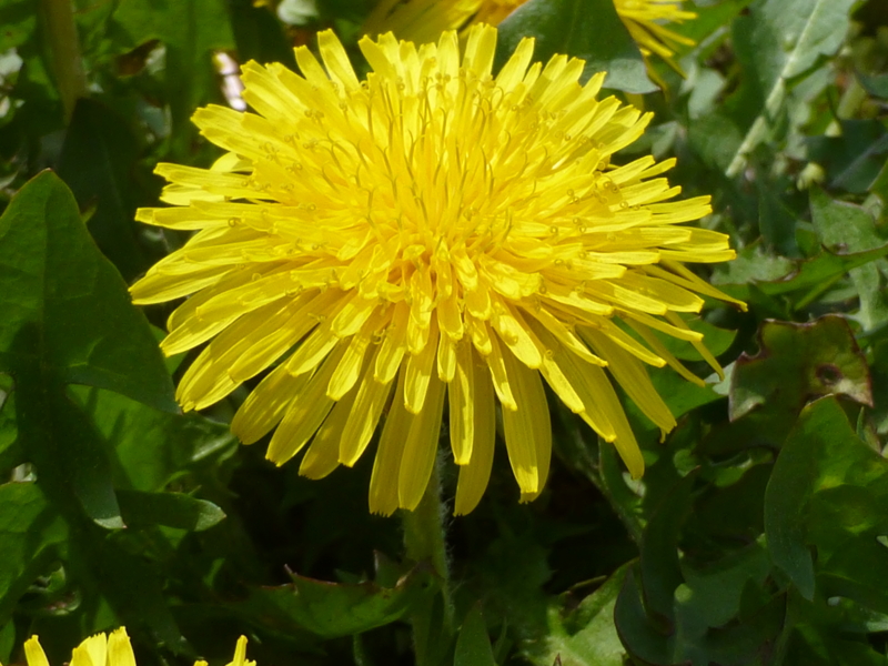 f:id:k10no3:20140420113250j:image:w560 f:id:k10no3:20140420113250j:image:w560