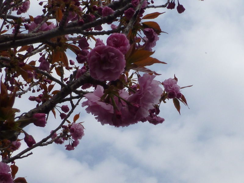 f:id:k10no3:20140420121523j:image:w560