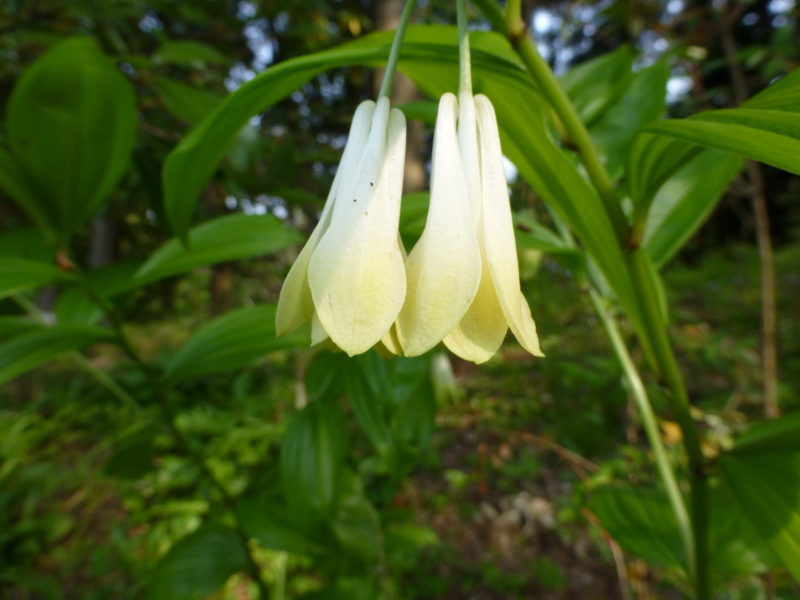 f:id:k10no3:20140426084258j:image:w560