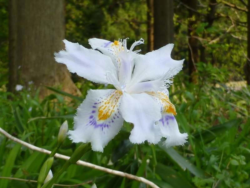 f:id:k10no3:20140426084448j:image:w560