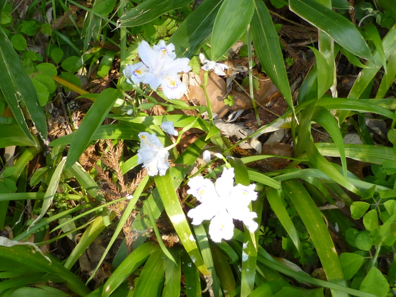 f:id:k10no3:20140426084454j:image:w560